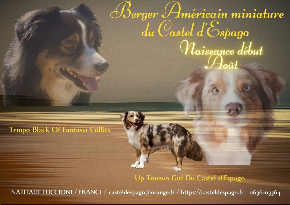 PORTEE UP TOWN GIRL DU CASTEL D'ESPAGO